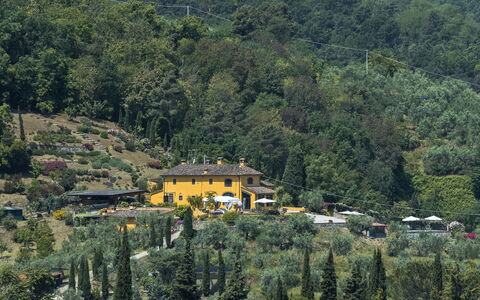 Villa Solaria: Bergstation, Vegetation, Bergdorf, Baum, Hügel, Ländliches Gebiet, Dorf, Haus, Wald, Berg