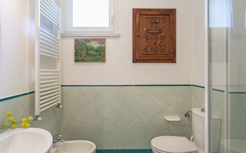 Marina Pietrasanta 255: Badezimmer, Zimmer, Eigentum, Grün, Fliese, Badezimmerschrank, Toilette, Bad Zubehör, Armatur, Interior Design