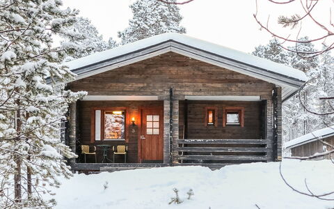 Lemmenliekki 3: Holz, Hütte, Blockhaus, Wald, Schuppen, Gartenbauten, Lärche, Wald, Holzbeize