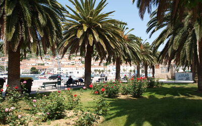 Korčula Vela Luka 107