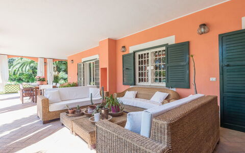Giulia: Pflanze, Eigentum, Möbel, Zimmerpflanze, Blumentopf, Couch, Holz, Tür, Schatten, Interior Design