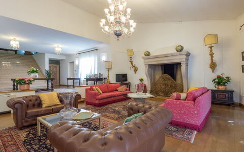 Giulia: Couch, Möbel, Bilderrahmen, Dekoration, Wohnzimmer, Interior Design, Fussboden, Flooring, Studio Couch, Pflanze
