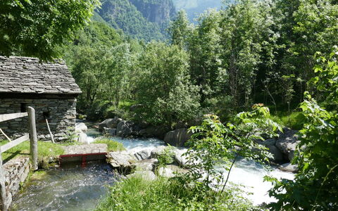 Rustico Nurell: Natürliche Landschaft, Wasservorräte, Natur, Wasser, Vegetation, Naturschutzgebiet, Wasserlauf, Fluss, Auwald, Wildnis