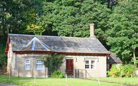 Craigton Cottage: Pflanze, Gebäude, Fenster, Baum, Haus, Grundstueck, Hütte, Wohngebiet, Grundeigentum, Landschaft