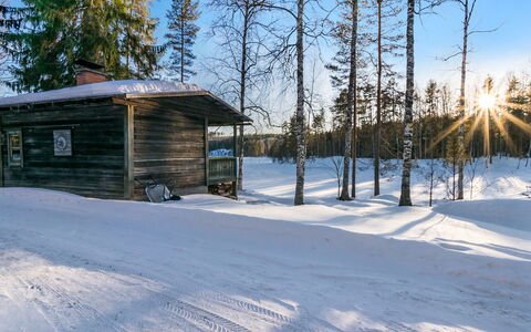 Saarijärvi: Holz, Hütte, Blockhaus, Wald, Schuppen, Gartenbauten, Lärche, Wald, Holzbeize