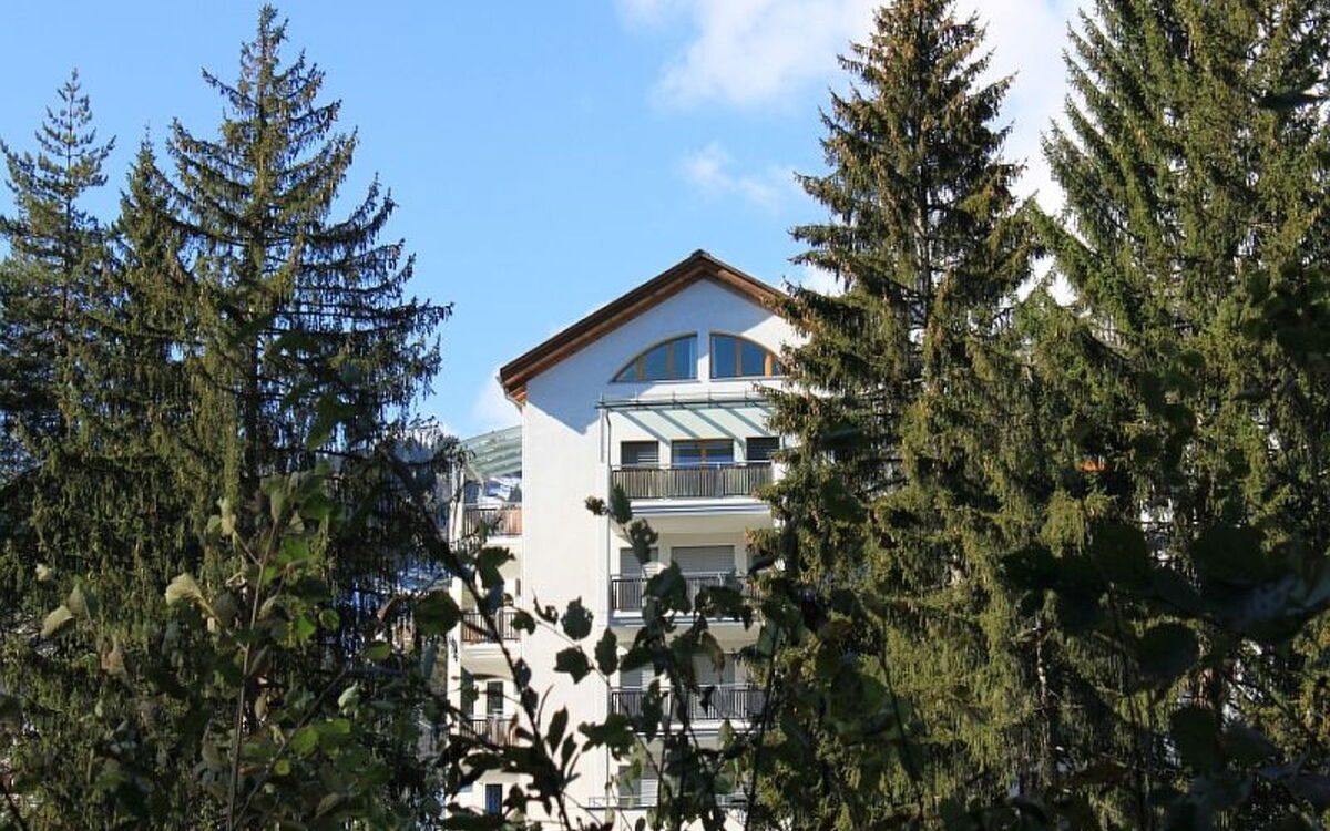 Mountain View Val Mulin 8