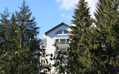 Mountain View Val Mulin 8