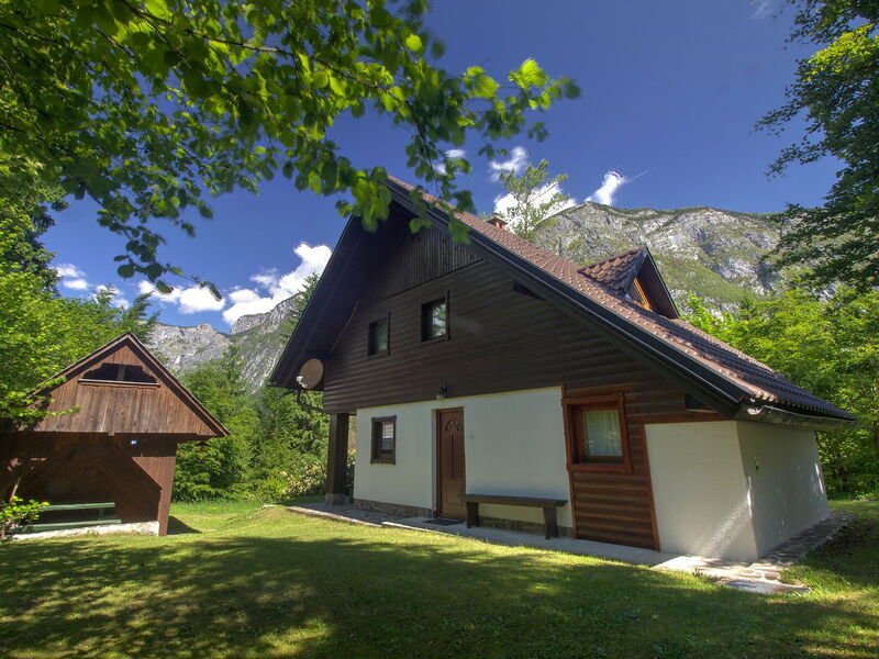 Bohinj 500