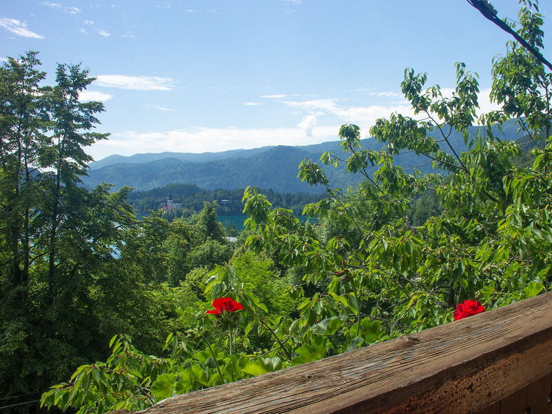 Holiday Home Sava