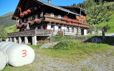 Moosen (Nki210): Haus, Gras, Berg, Ländliches Gebiet, Bergstation, Tourismus, Zuhause, Die Architektur, Gebäude, Alpen