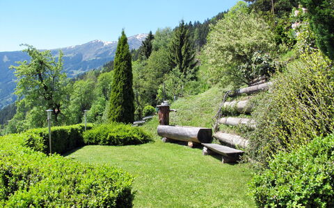 Wildauer: Natürliche Landschaft, Natur, Garten, Vegetation, Botanischer Garten, Baum, Naturschutzgebiet, Wildnis, Biome, Gras