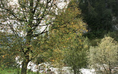 Ratschnhäusl