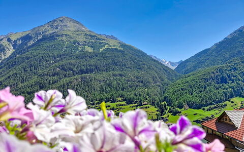 Alpenblick: Berg, Bergforms, Blume, Hügel, Gebirge, Hochland, Bergstation, Landschaft, Senke, Grat