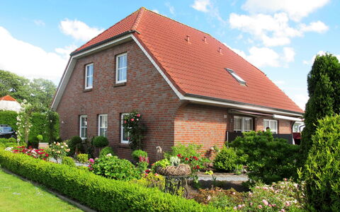 Rosenboom: Pflanze, Himmel, Wolke, Eigentum, Blume, Fenster, Grundstueck, Gebäude, Baum, Haus