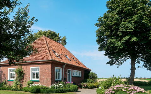 Huuske am Polder: Haus, Zuhause, Eigentum, Wohngebiet, Hütte, Estate, Gebäude, Baum, Grundeigentum, Himmel
