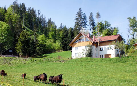 Mühlenmichelshäusle: Weide, Natürliche Landschaft, Wiese, Eigentum, Natürlichen Umgebung, Wiese, Bauernhof, Ländliches Gebiet, Ranch, Haus