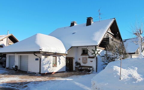 Schleuniger: Himmel, Gebäude, Schnee, Fenster, Haus, Hütte, Pflanze, Einfrieren, Abstellgleis, Landschaft