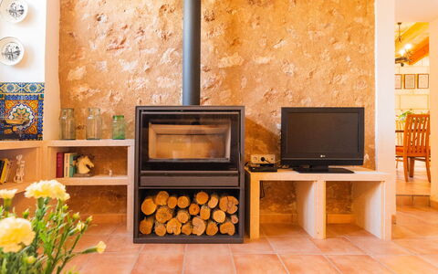 Ses Sitjoles: Pflanze, Möbel, Gebäude, Orange, Interior Design, Holz, Wohnzimmer, Fussboden, Haushaltsgerät, Wand