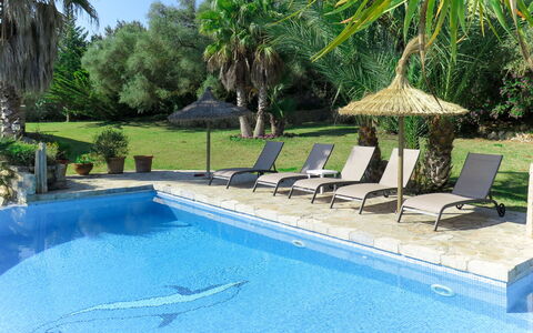 Can Segue: Schwimmbad, Eigentum, Freizeit, Hinterhof, Grundeigentum, Resort, Sonnenliege, Möbel, Gartenmöbel, Terrasse