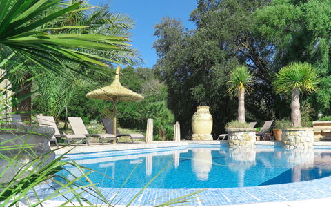 Can Segue: Schwimmbad, Eigentum, Baum, Palme, Grundeigentum, Majorelle Blue, Urlaub, Botanik, Arecales, Gebäude