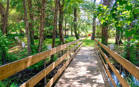 Ghisonaccia 615: Natur, Baum, Grün, Naturschutzgebiet, Vegetation, Natürlichen Umgebung, Walkway, Natürliche Landschaft, Weg, Wald