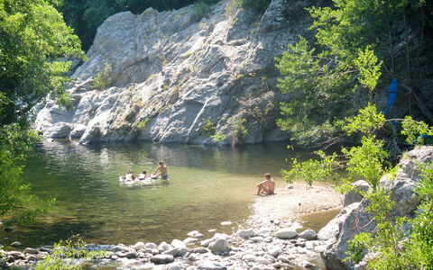 Svyntha: Gewässer, Natürliche Landschaft, Natur, Naturschutzgebiet, Vegetation, Wasser, Auwald, Fluss, Wasserlauf, Wasservorräte
