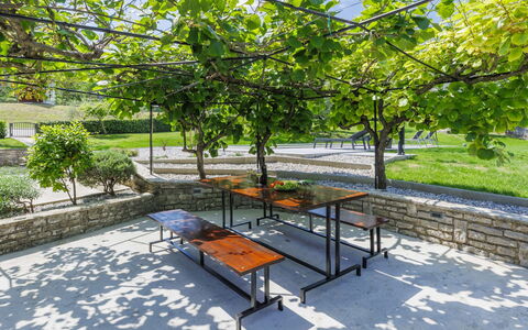 Carlo: Pflanze, Tabelle, Außenbank, Botanik, Schatten, Baum, Gartenmöbel, Urban Design, Freizeit, Strassenbelag
