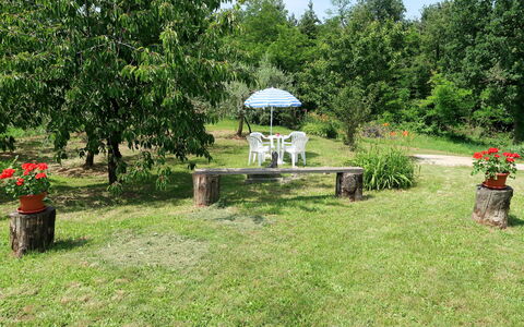 Fortica: Garten, Gras, Eigentum, Garten, Rasen, Grundstueck, Hinterhof, Botanik, Baum, Haus