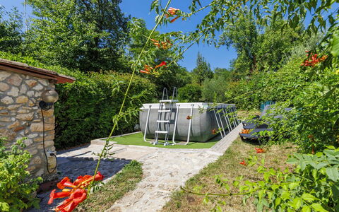 Paolici: Garten, Hinterhof, Landscaping, Park, Gartenbauten