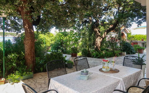 Noa: Pflanze, Tabelle, Möbel, Stuhl, Tisch Im Freien, Botanik, Schatten, Baum, Gartenmöbel, Interior Design