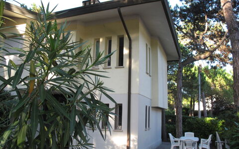 Villa Isolina: Pflanze, Gebäude, Himmel, Baum, Fenster, Haus, Schatten, Arecales, Grundeigentum, Hütte