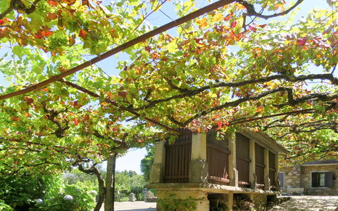 Senhor Do Socorro: Pflanze, Eigentum, Himmel, Ast, Botanik, Zweig, Fenster, Vegetation, Biome, Baum