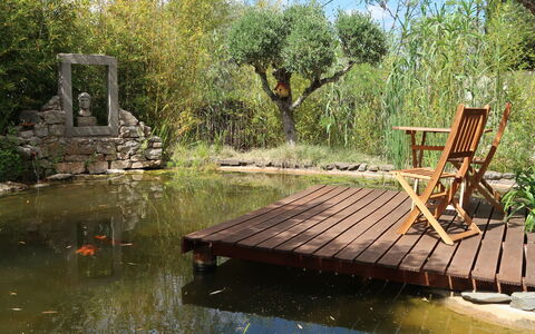 Quintal das Oliveiras: Wasser, Pflanze, Wasservorräte, Himmel, Natur, Natürliche Landschaft, Botanik, Baum, See, Biome