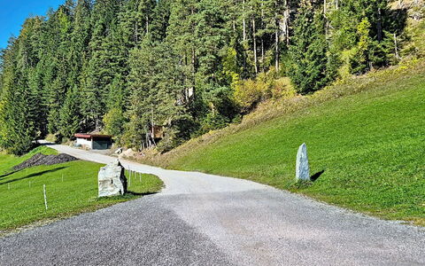 Radstadt 606: Gras, Baum, Strassenbelag, Strasse, Asphalt, Strauch, Durchgangsstrasse, Ground, Bergpass