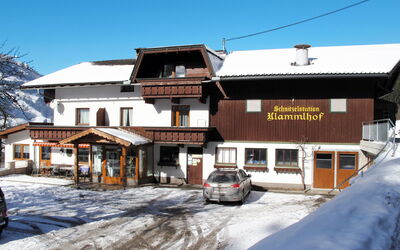 Zell am Ziller 615: Winter, Fenster, Eigentum, Nachbarschaft, \Stadt, Schnee, Automobil-Außen, Einfrieren, Dach, Grundeigentum