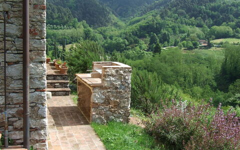 Bottino: Wand, Natürliche Landschaft, Steinwand, Landschaft, Baum, \Fels, Ländliches Gebiet, Gras, Pflanzengemeinschaft, Pflanze