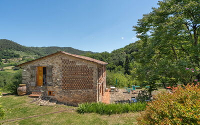 Bottino