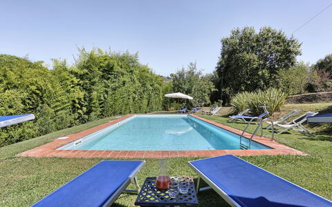 Casa Rosa: Schwimmbad, Eigentum, Gras, Freizeit, Grundeigentum, Baum, Haus, Hinterhof, Zuhause, Estate