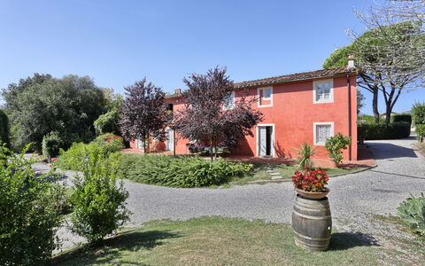 Casa Rosa: Eigentum, Haus, Zuhause, Grundeigentum, Estate, Hütte, Wohngebiet, Gebäude, Botanik, Garten