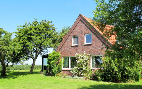 Horumersiel 656: Gebäude, Pflanze, Himmel, Fenster, Natürliche Landschaft, Haus, Baum, Grundstueck, Gras, Hütte