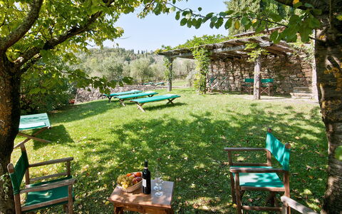 Casavecchia: Pflanze, Grün, Schatten, Baum, Botanik, Gartenmöbel, Vegetation, Natürliche Landschaft, Gras, Biome