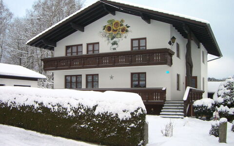 Hagengruber: Schnee, Himmel, Pflanze, Eigentum, Fenster, Gebäude, Ast, Baum, Haus, Fassade