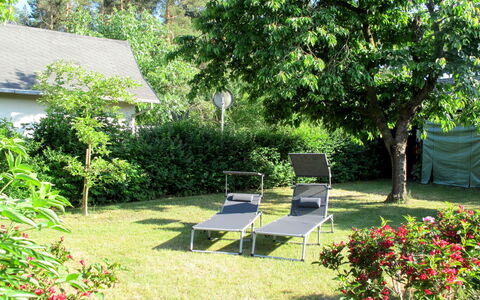 Plau am See 619: Garten, Garten, Eigentum, Baum, Gras, Rasen, Hinterhof, Botanik, Grundeigentum, Haus