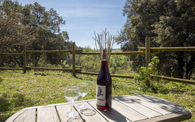 Unterkunft:&nbsp;Domaine de Sévenier Chêne Blanc 620.1