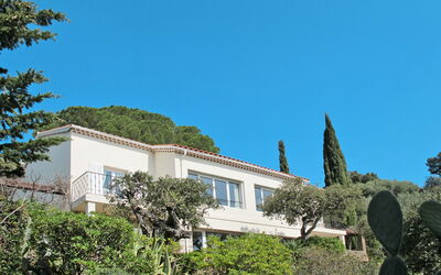 Le Lavandou 604