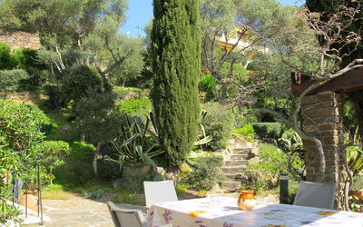 Le Lavandou 604