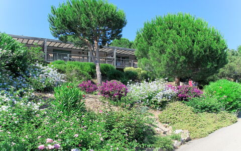 Porto Vecchio 658: Pflanze, Blume, Himmel, Pflanzengemeinschaft, Grün, Baum, Natürliche Landschaft, Grundstueck, Gras, Gehölz