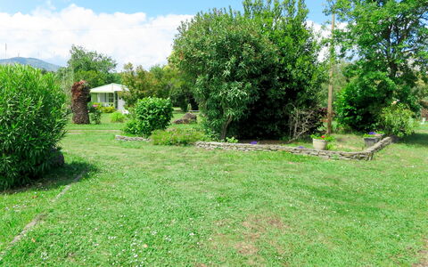 San Nicolao 674: Grundstueck, Eigentum, Gras, Vegetation, Natürliche Landschaft, Garten, Naturschutzgebiet, Rasen, Garten, Baum