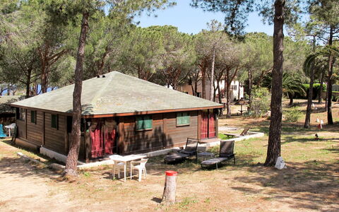 Calvi 609: Eigentum, Zuhause, Haus, Baum, Ländliches Gebiet, Hütte, State Park, Gebäude, Hütte, Landschaft