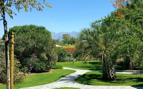 Calvi 610: Pflanze, Himmel, Eigentum, Pflanzengemeinschaft, Natürliche Landschaft, Vegetation, Baum, Grundstueck, Gras, Arecales